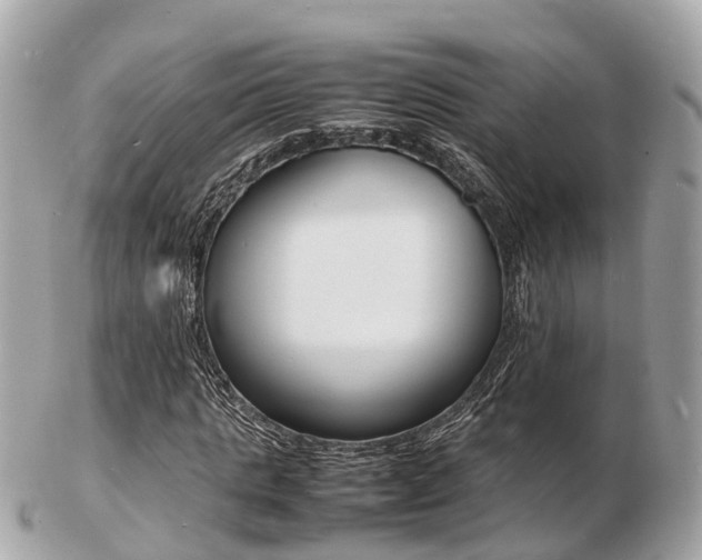 X0000103290821200808291106