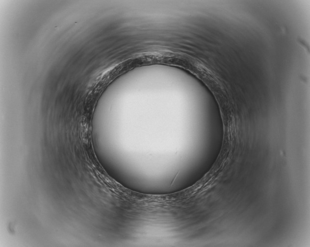 X0000103290822200808291106