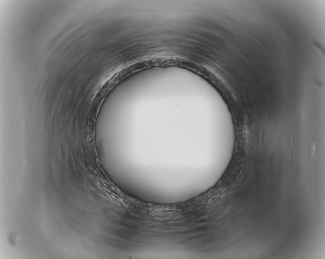 X0000103290823200808291106