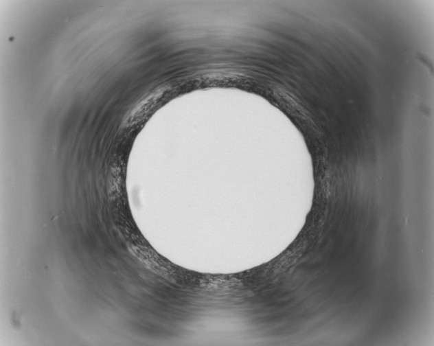X0000103290824200808291106
