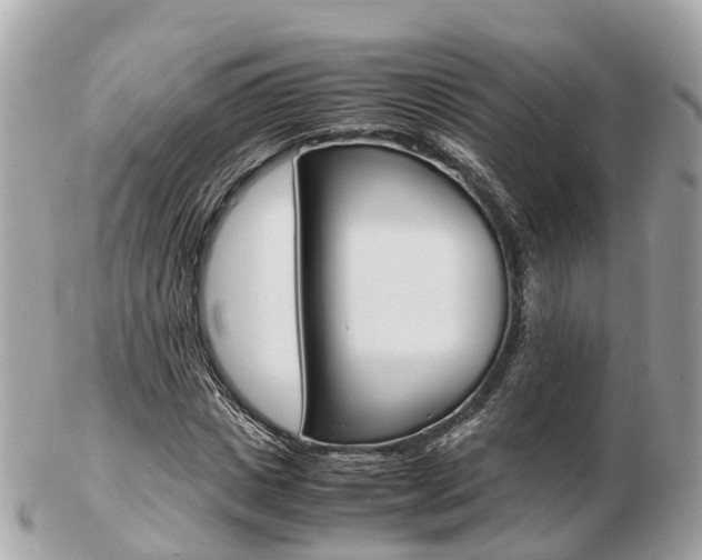 X0000103290825200808291106