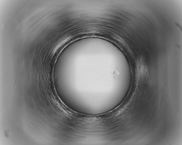 X0000103290826200808291106