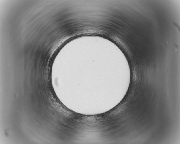X0000103290828200808291106