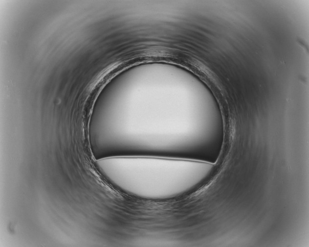 X0000103290829200808291106