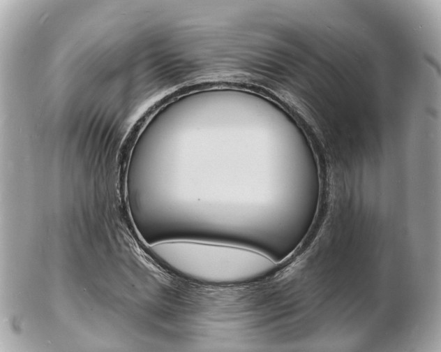X0000103290830200808291106