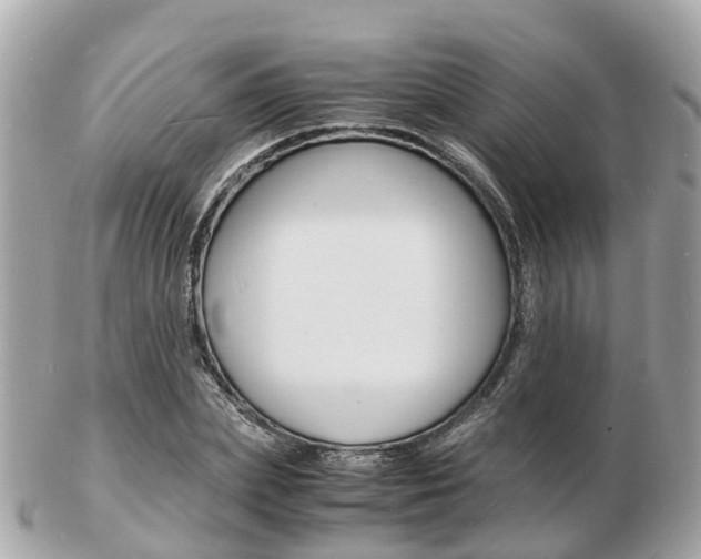 X0000103290831200808291106