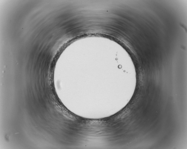 X0000103290832200808291106