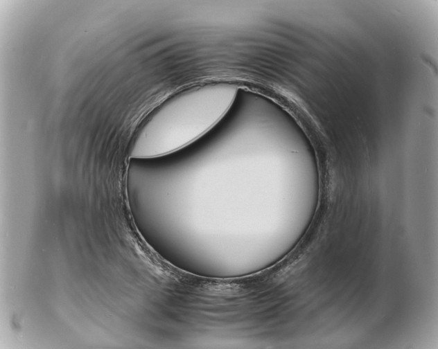 X0000103290833200808291106