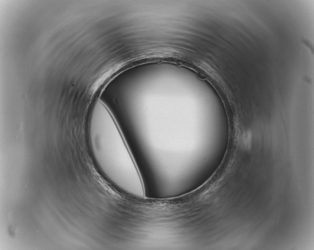 X0000103290834200808291106
