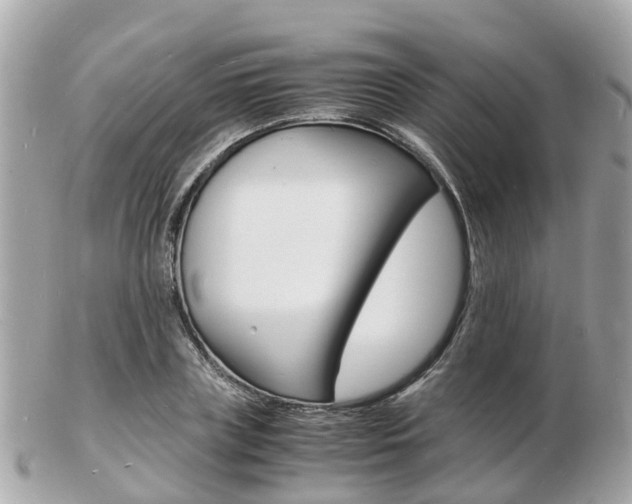 X0000103290835200808291106
