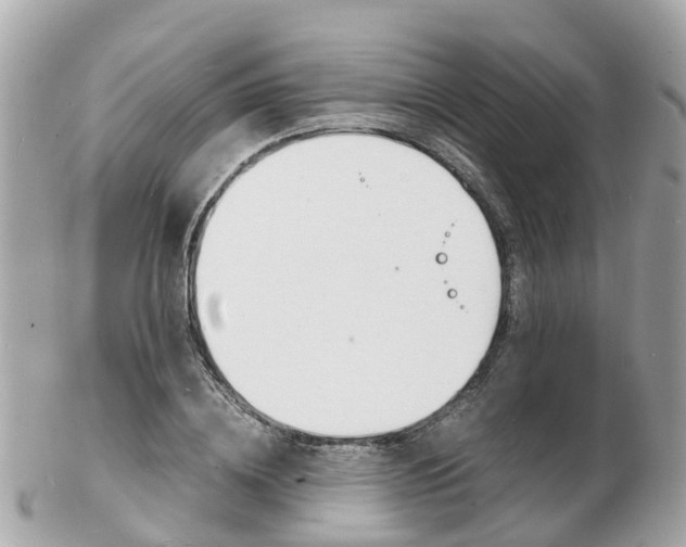 X0000103290836200808291106