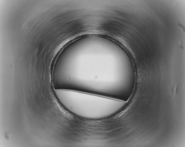 X0000103290837200808291106