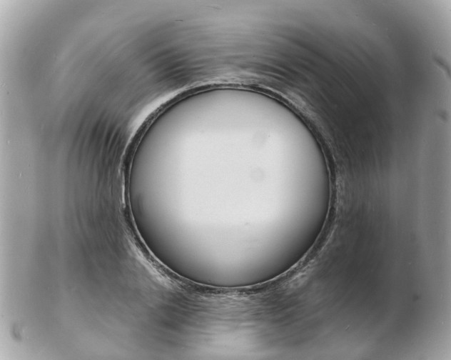 X0000103290838200808291106