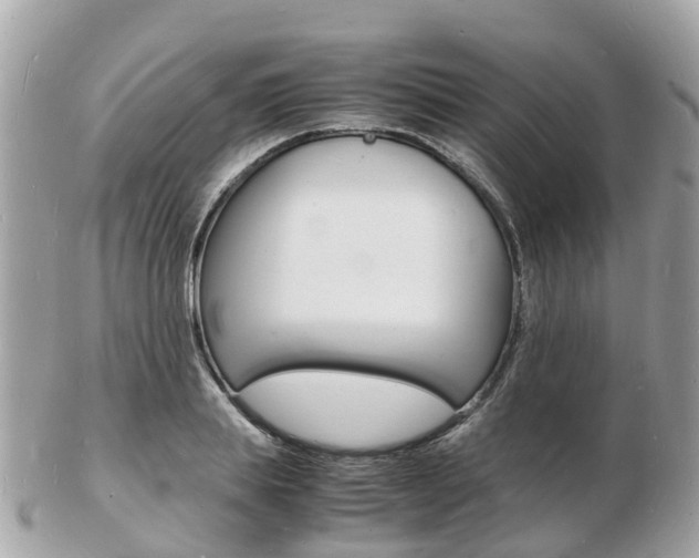 X0000103290839200808291106