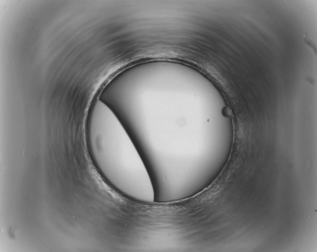 X0000103290840200808291106