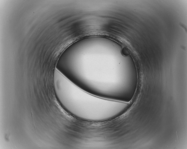 X0000103290841200808291106