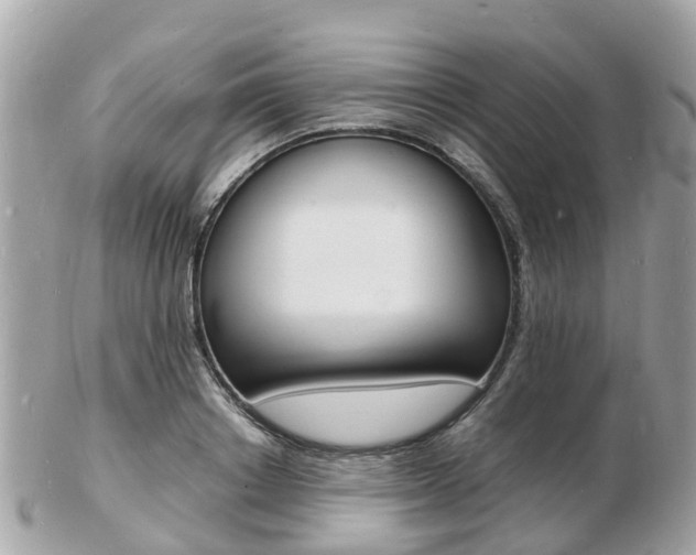 X0000103290842200808291106