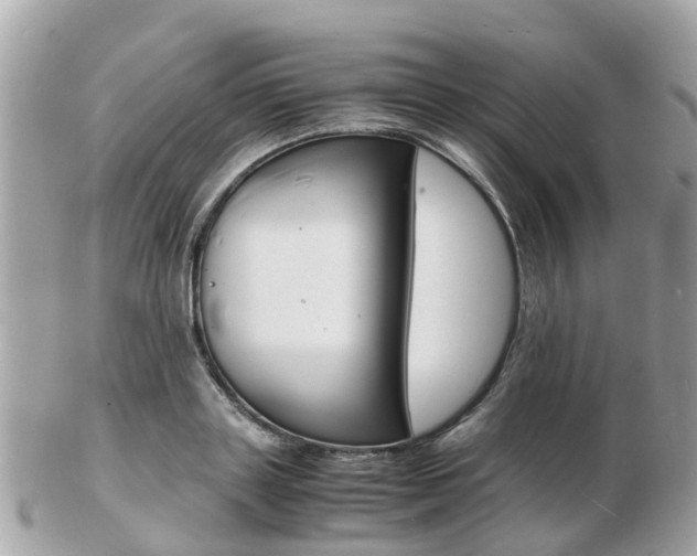 X0000103290843200808291106