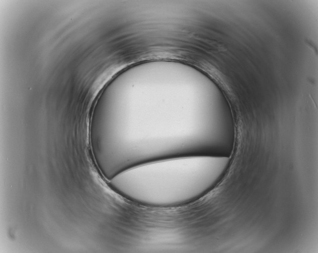 X0000103290844200808291106