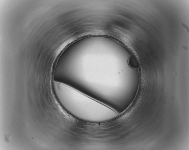 X0000103290845200808291106