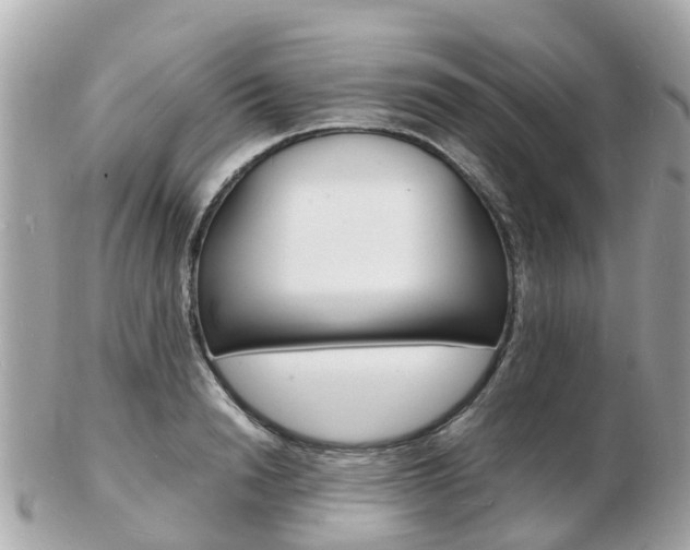 X0000103290846200808291106