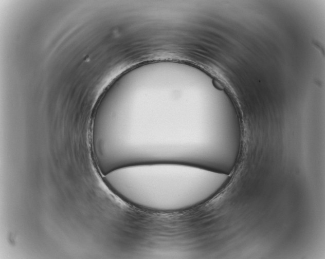 X0000103290847200808291106