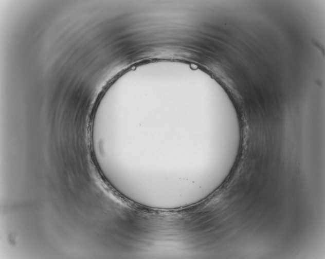 X0000103290848200808291106