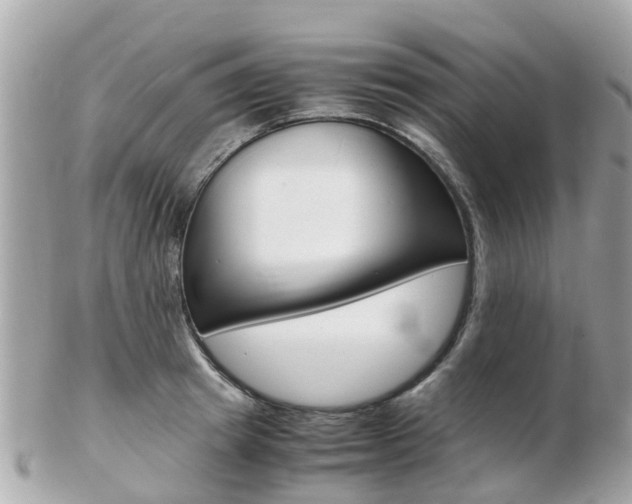 X0000103290849200808291106