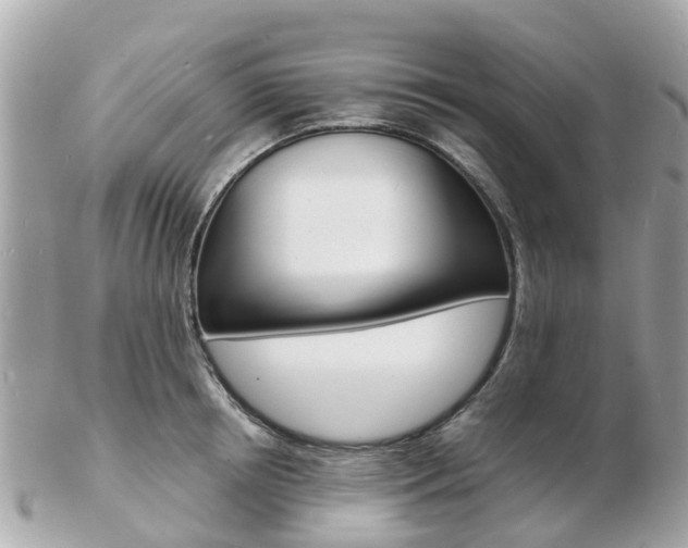X0000103290850200808291106