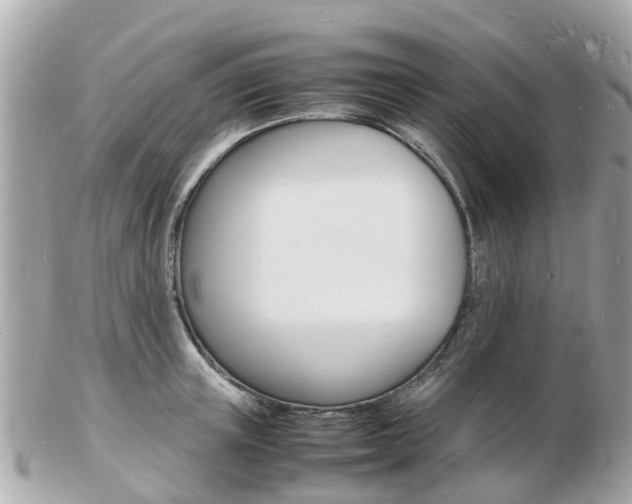 X0000103290851200808291106