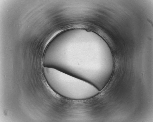 X0000103290852200808291106