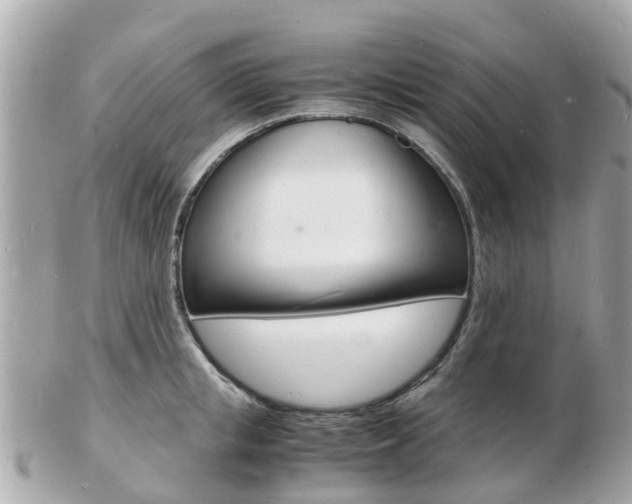 X0000103290853200808291106