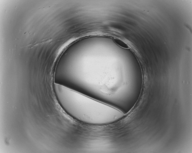 X0000103290854200808291106