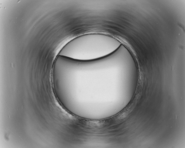 X0000103290855200808291106