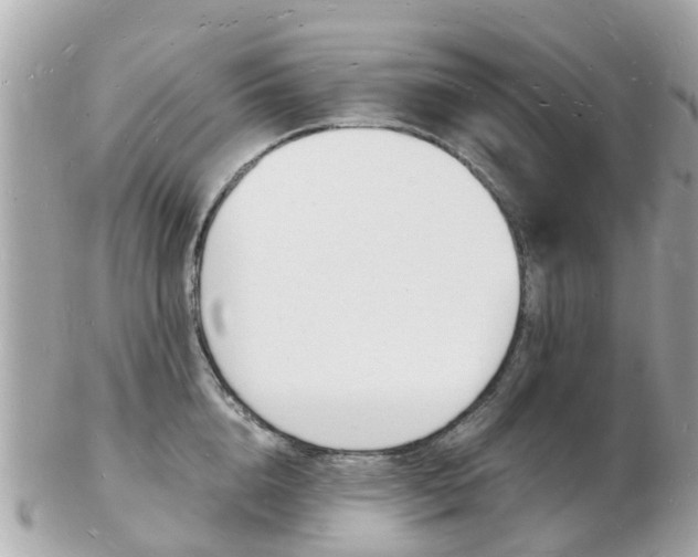 X0000103290856200808291106