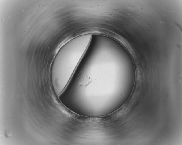 X0000103290858200808291106