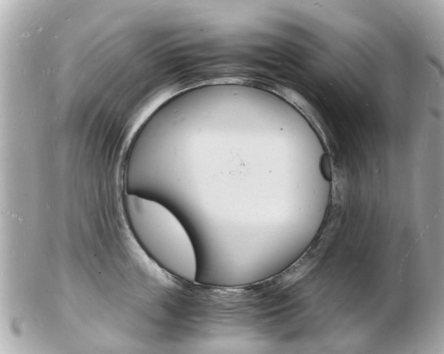 X0000103290859200808291106