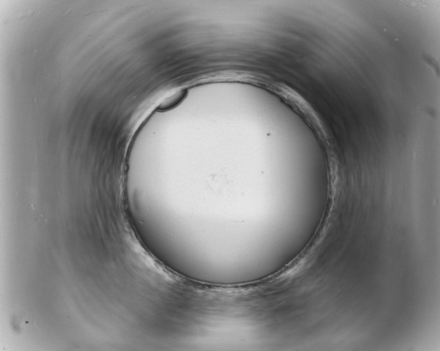 X0000103290860200808291106