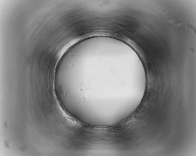 X0000103290861200808291106