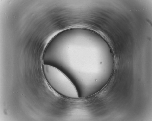 X0000103290862200808291106