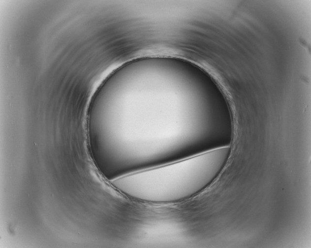 X0000103290864200808291106