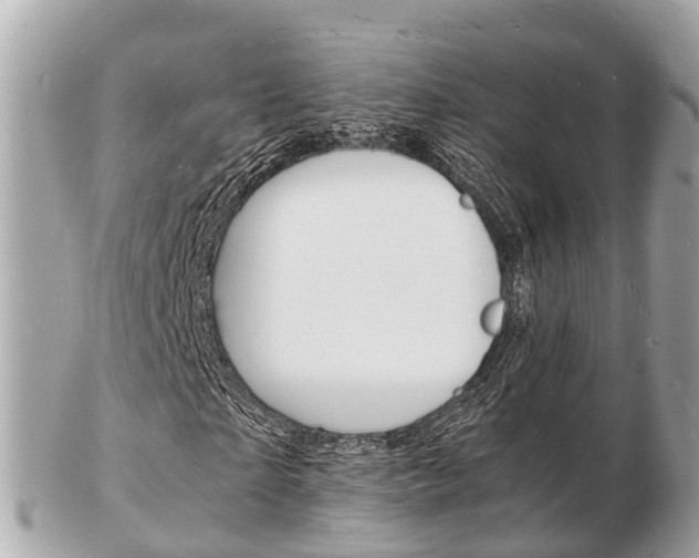 X0000103290865200808291106