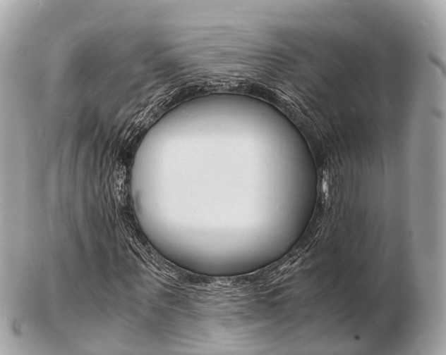 X0000103290867200808291106