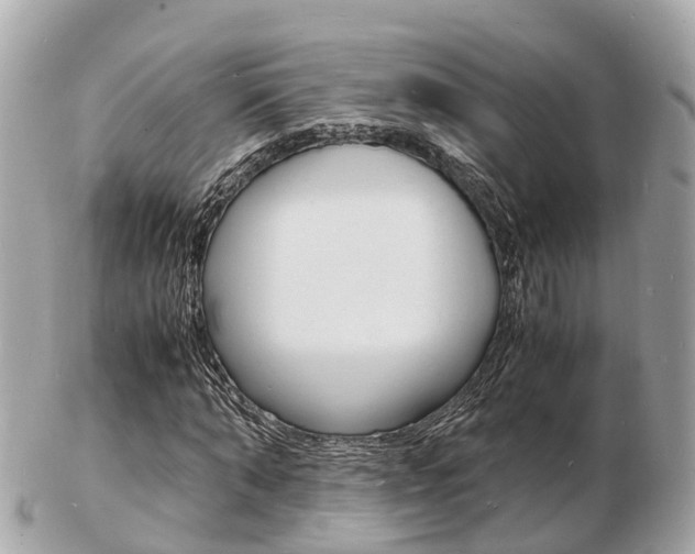 X0000103290870200808291106