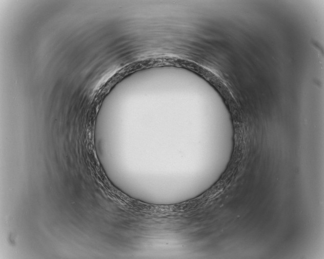 X0000103290871200808291106