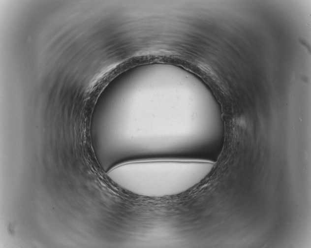 X0000103290872200808291106