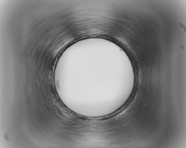 X0000103290873200808291106