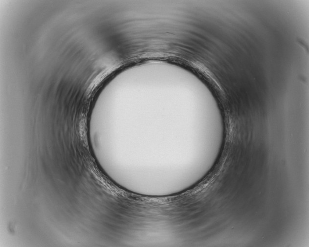 X0000103290874200808291106