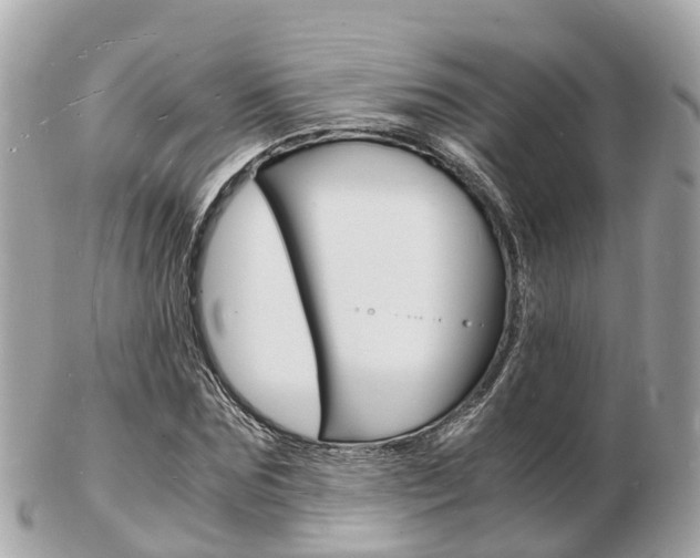 X0000103290875200808291106