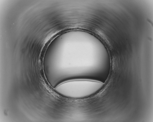 X0000103290876200808291106
